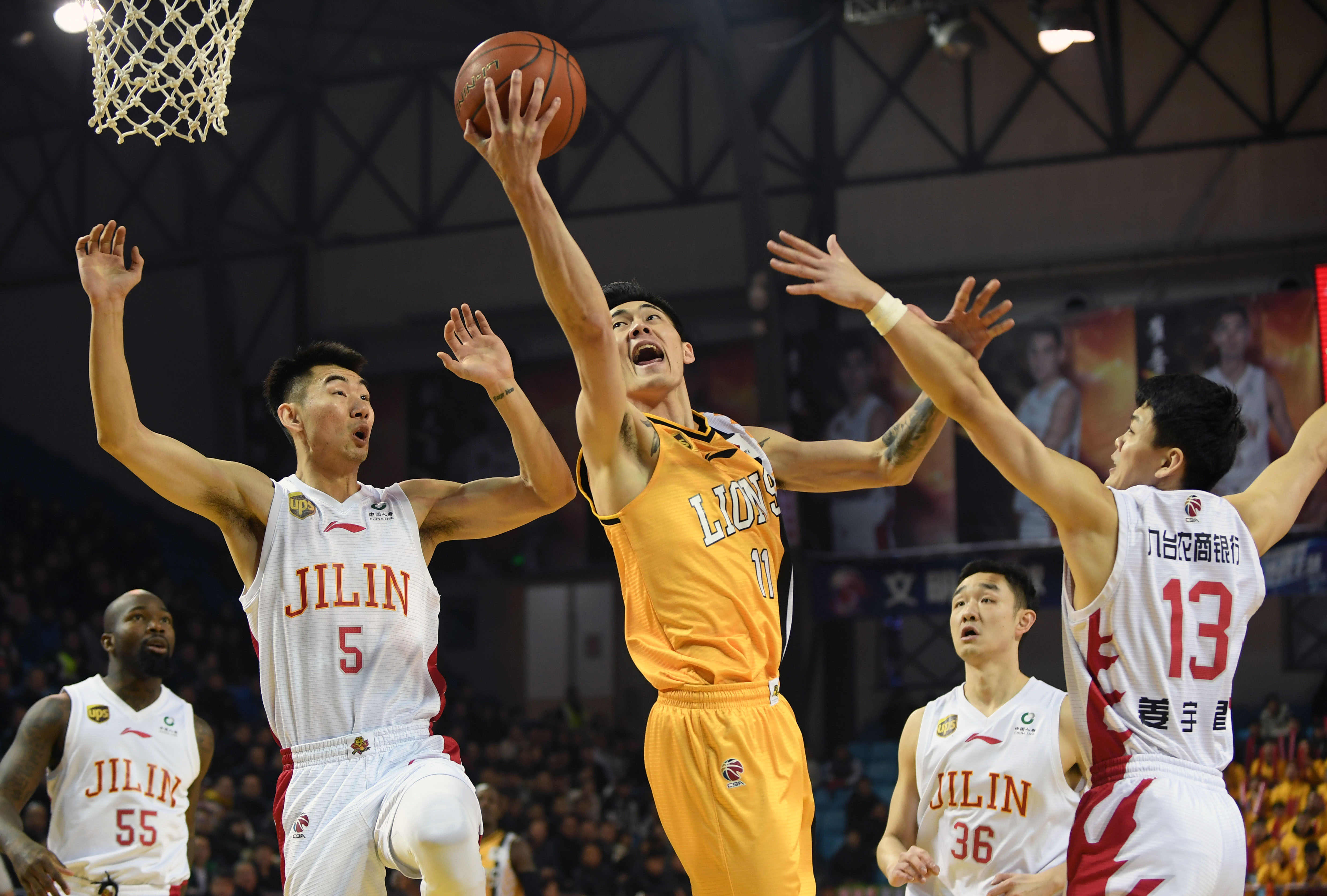 而灰熊则需 而灰熊则需