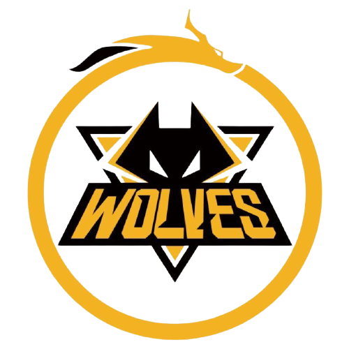 VP级别球 VP级别球